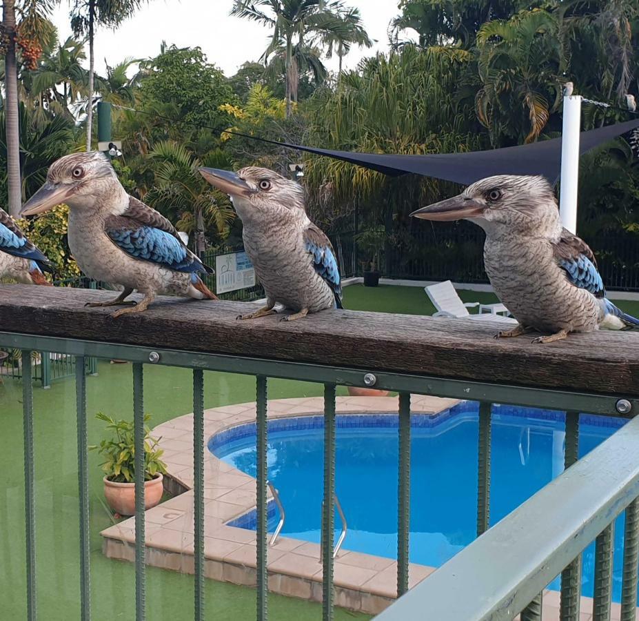 Magnetic Island Resort, Sleeps 3, Free Wifi Nelly Bay Eksteriør bilde